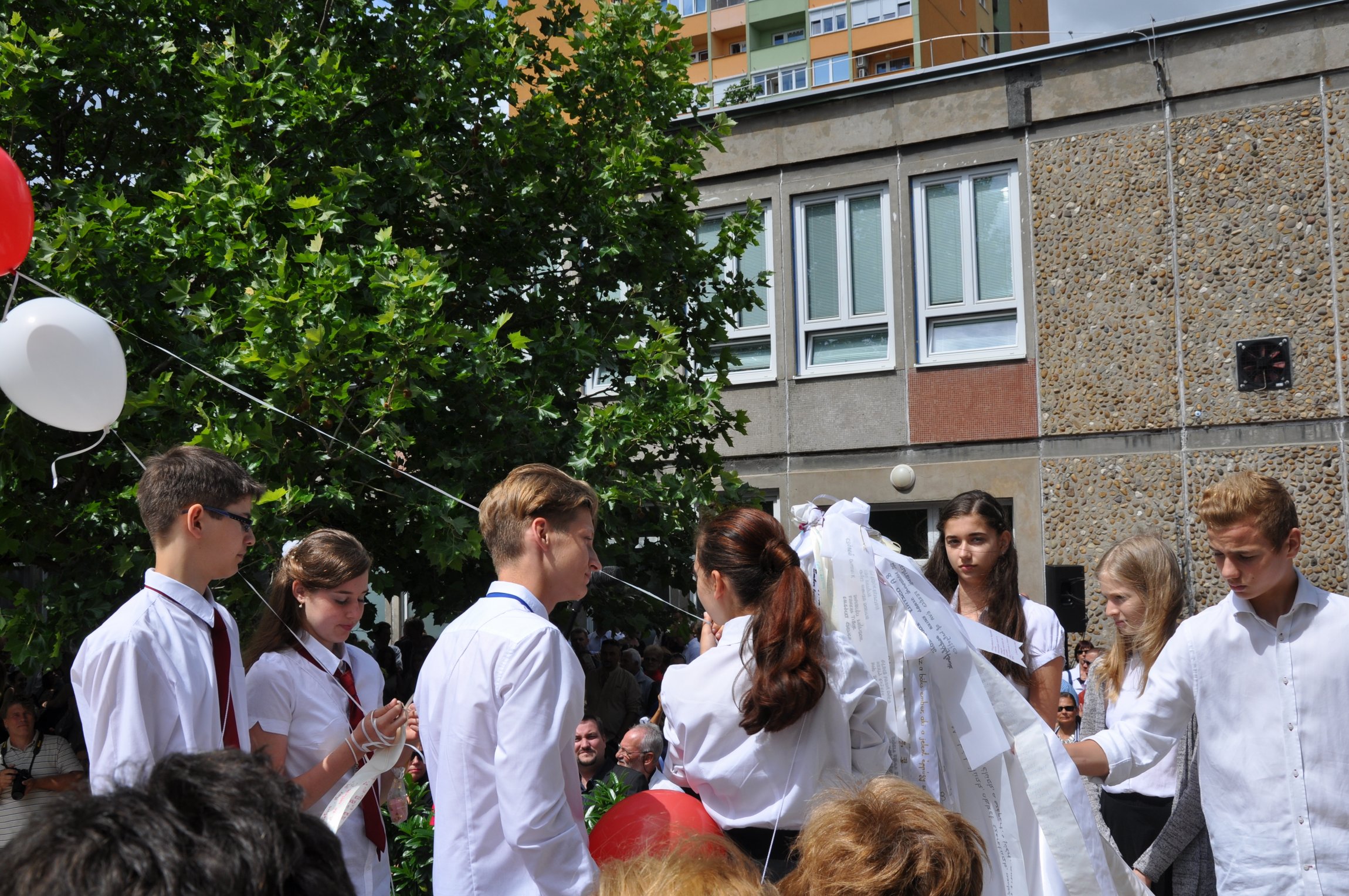 DSC_0310.JPG