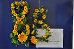 DSC_0176.JPG