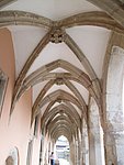 IMG_4210.JPG