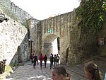 IMG_4211.JPG