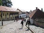 IMG_4212.JPG