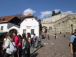 IMG_4215.JPG