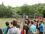 IMG_4237.JPG