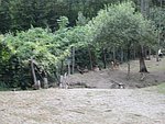 IMG_4240.JPG