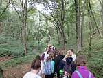IMG_4248.JPG
