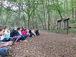 IMG_4252.JPG