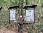 IMG_4253.JPG