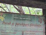 IMG_4254.JPG