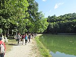 IMG_4268.JPG