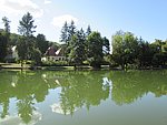 IMG_4269.JPG