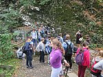 IMG_4271.JPG
