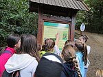 IMG_4275.JPG