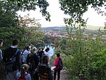 IMG_4276.JPG