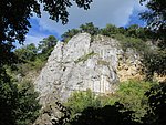 IMG_4281.JPG
