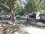 IMG_4295.JPG
