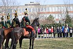 marcius 15-029.JPG