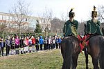 marcius 15-032.JPG