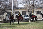 marcius 15-053.JPG
