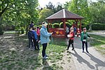 DSC_0223.JPG