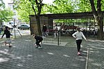 DSC_0233.JPG