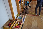 DSC_0347.JPG