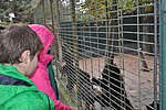 DSC_0777.JPG