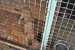 DSC_0784.JPG