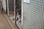DSC_0785.JPG