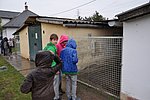 DSC_0800.JPG
