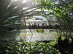 IMG_0002.JPG