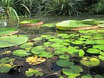 IMG_0003.JPG