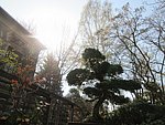 IMG_0005.JPG
