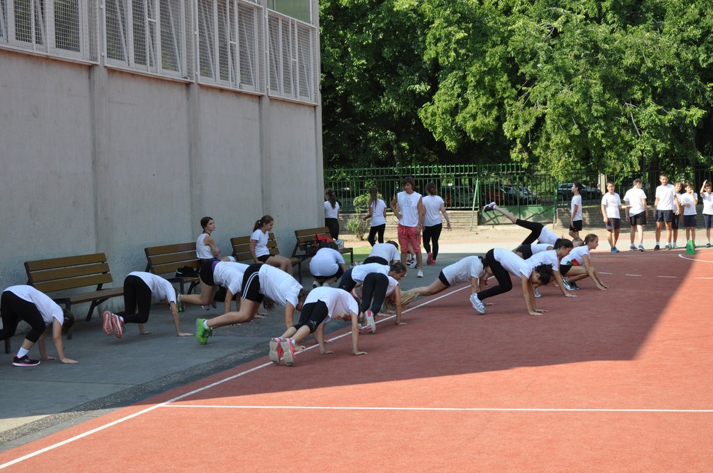 tesi-55.JPG