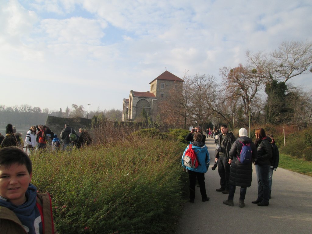 vadludak-01.JPG