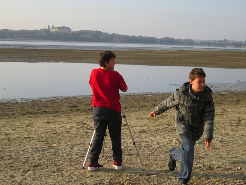 vadludak-10.JPG