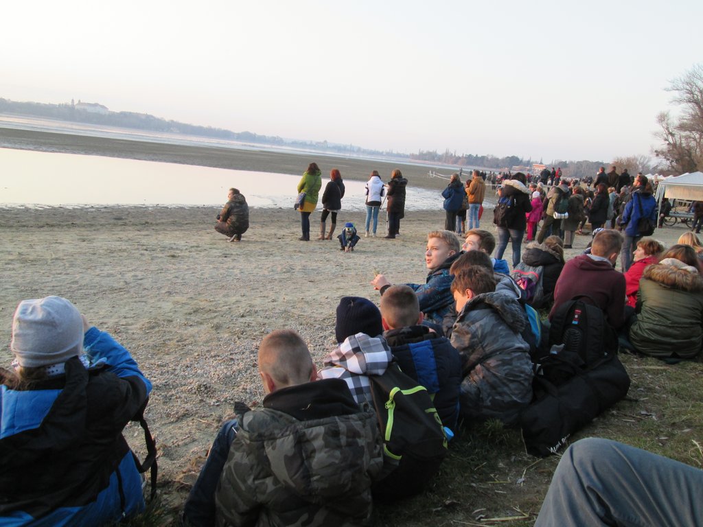 vadludak-14.JPG