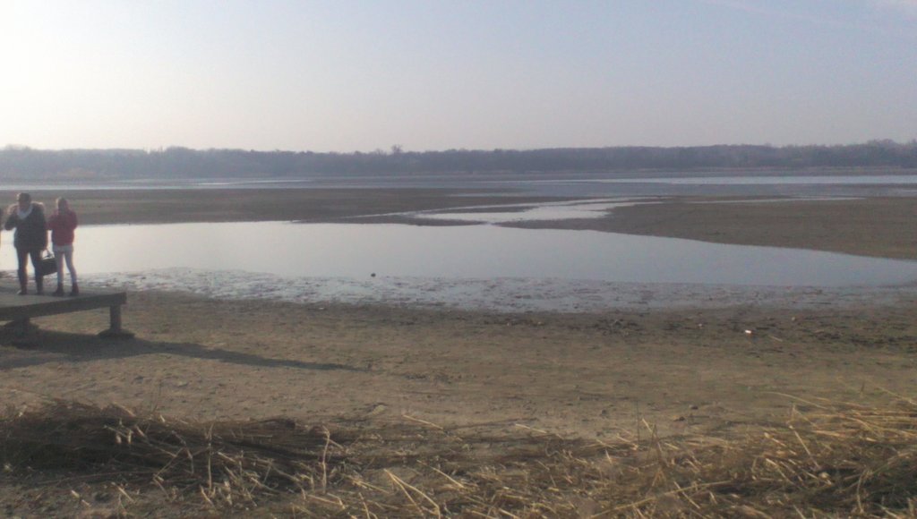 vadludak-16.jpg
