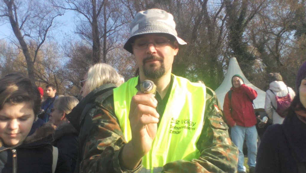 vadludak-20.jpg