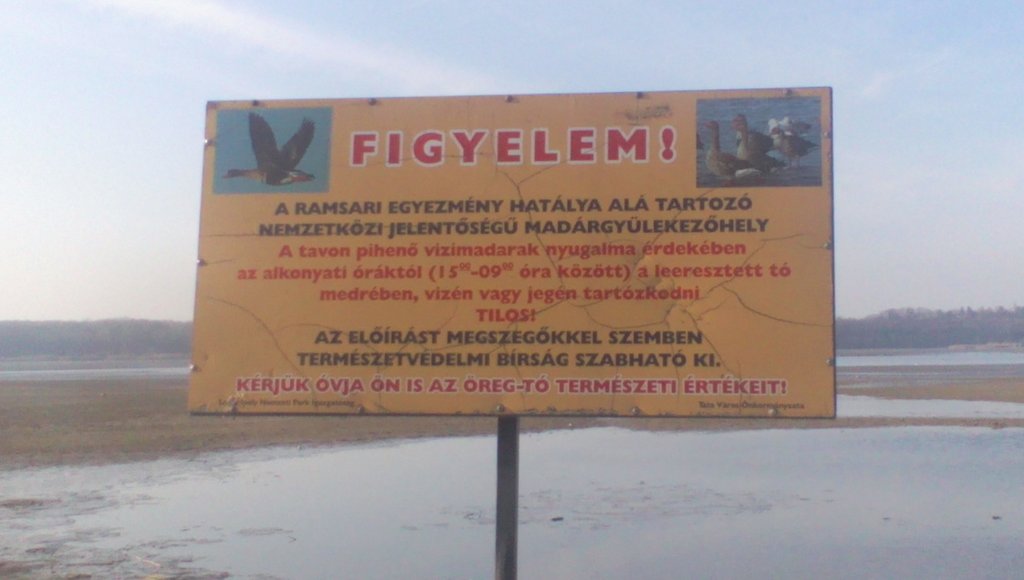 vadludak-26.jpg