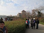 vadludak-01.JPG