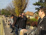 vadludak-02.JPG