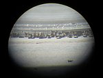 vadludak-11.JPG