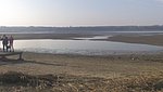 vadludak-16.jpg