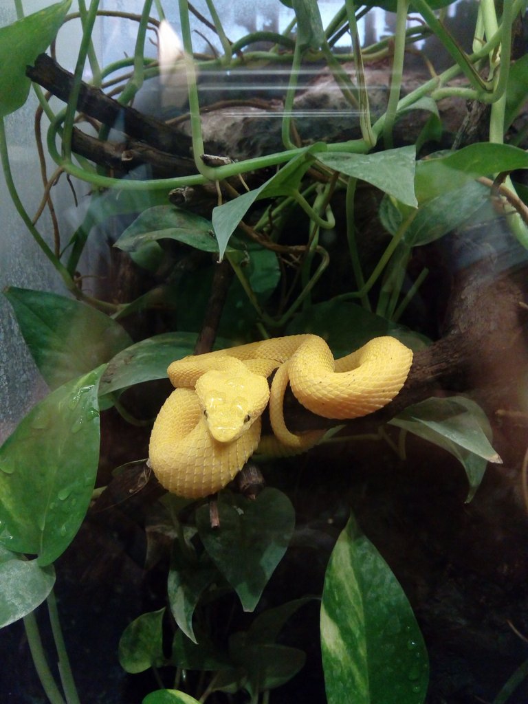 zoo-060.jpg