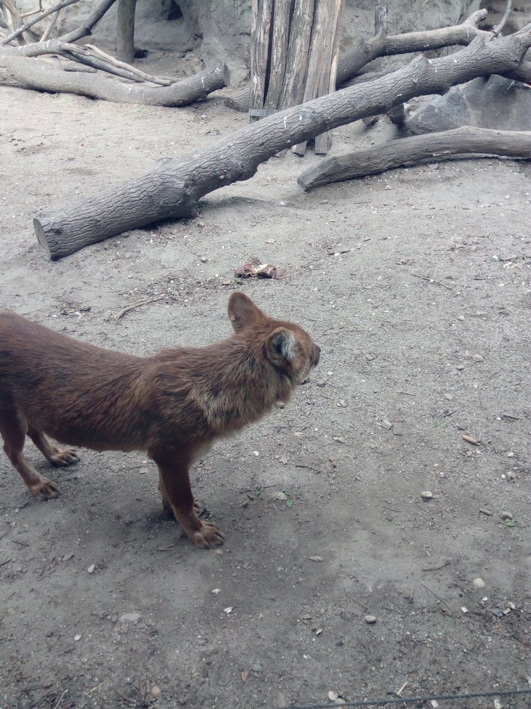 zoo-066.jpg