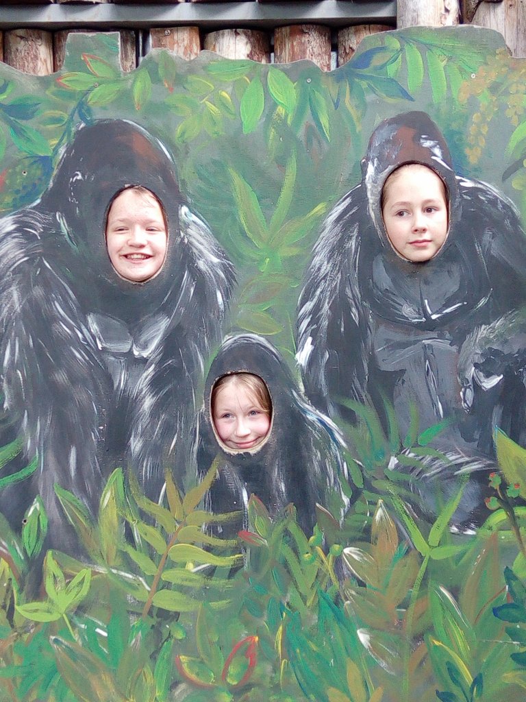 zoo-070.jpg