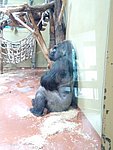 zoo-004.jpg