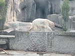 zoo-079.jpg