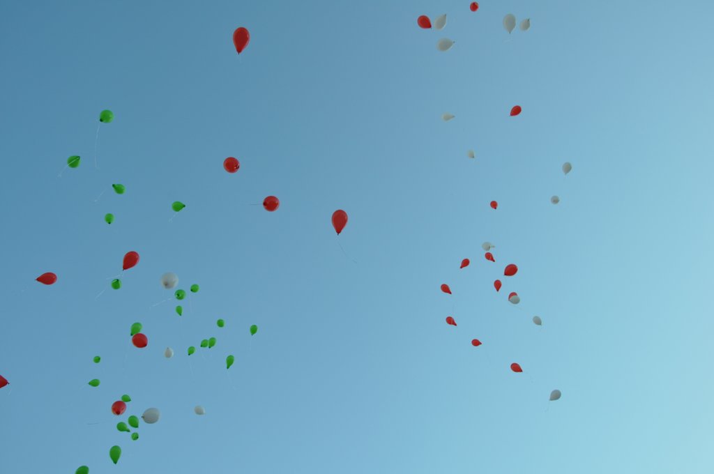 2018. Elsos avatas24.JPG