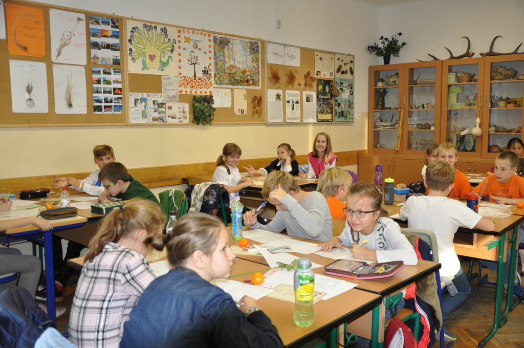 Bolyai magyar 2018  22.JPG